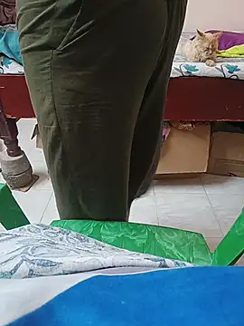 Hansikatelugu webcam