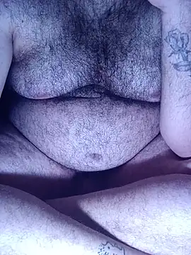 big__bearrr webcam