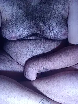 big__bearrr webcam