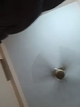 Hansikatelugu webcam