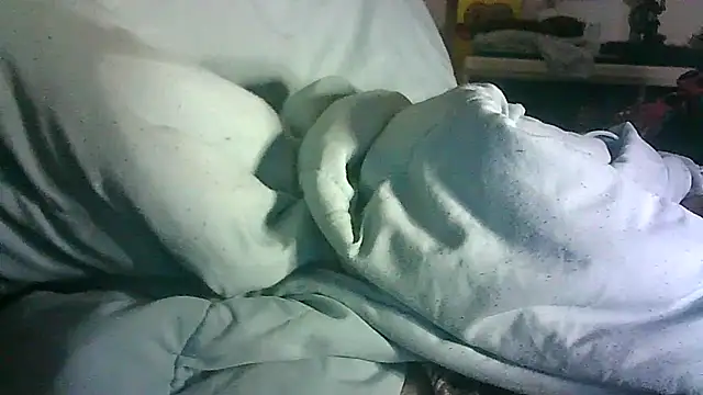 CR3M3_FIR3 webcam