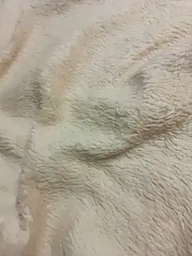 Sphynx010