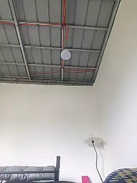 FynestBee webcam