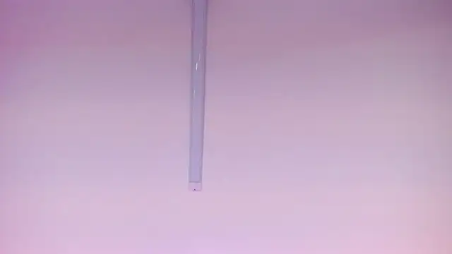 ZulemaTerrier webcam