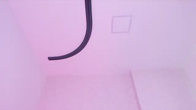 _carolina_fox webcam