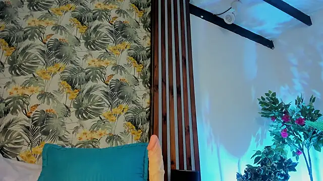 JacobDraven webcam