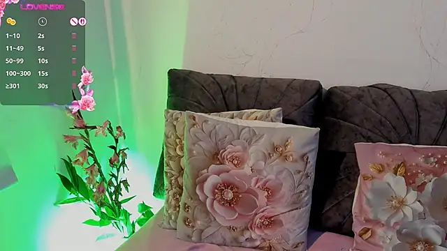 NayeCloud webcam