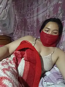Hiha-nn webcam