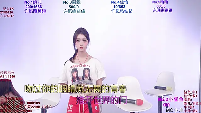 STY_0089 webcam