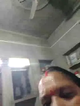 Loomaraj webcam
