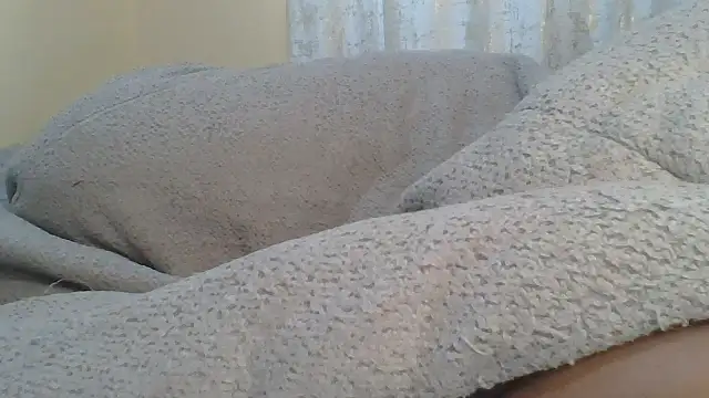 ndivhuwomuleya webcam
