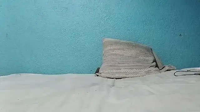 Vago745 webcam