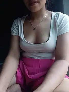 Havana- webcam