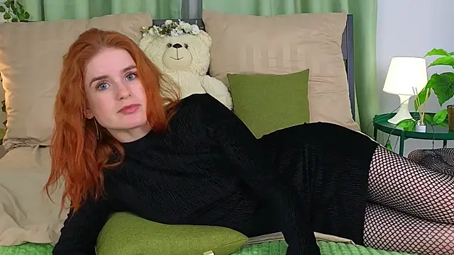 NinellSky webcam