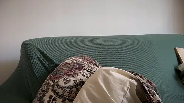 Brianjonest webcam