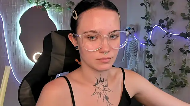 Elastikisss webcam