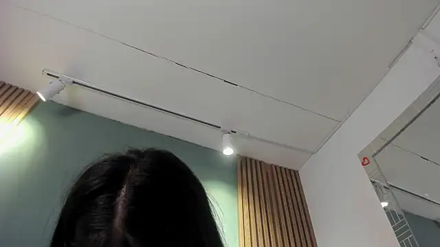 HannaWen_ webcam