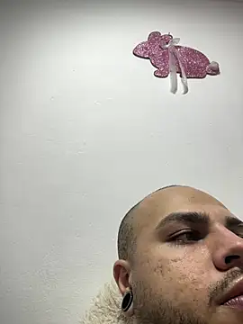 ladyandnico webcam