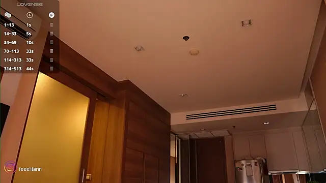 feelitann webcam