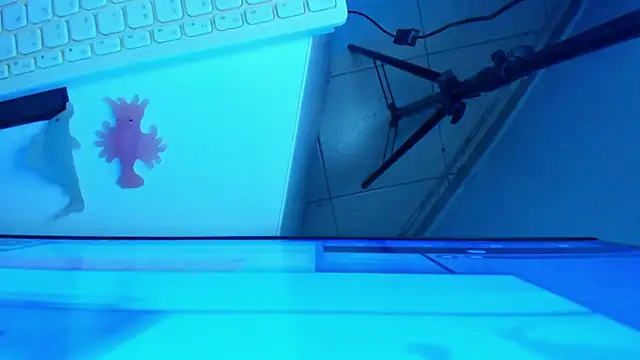 britanny_jones1 webcam