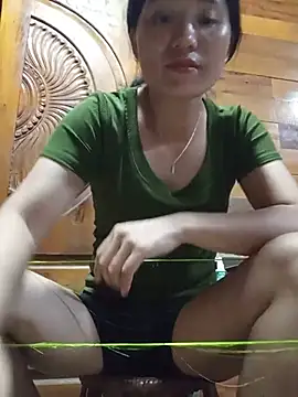 Td3di webcam