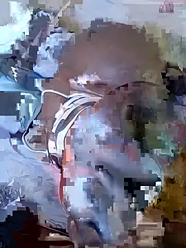 BigBlacBoyD webcam