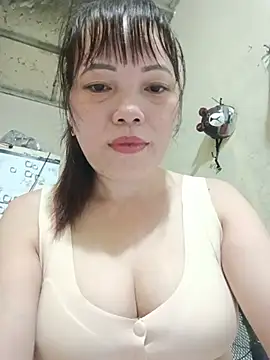 Sana-vn webcam