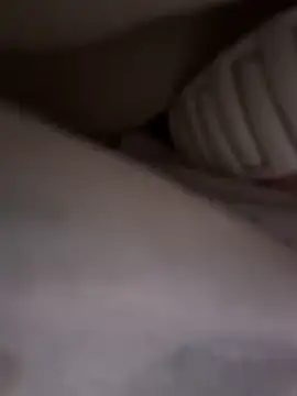 cici-2026 webcam