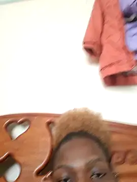 meshje webcam