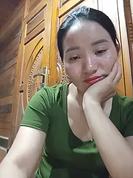 Td3di webcam