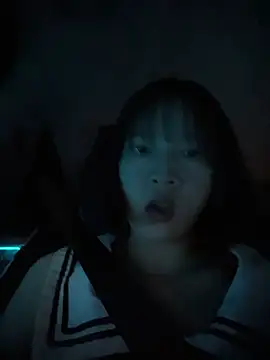 littleqiu webcam