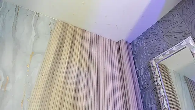 BriannaChelsea webcam