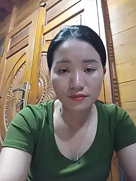 Td3di webcam