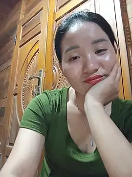 Td3di webcam