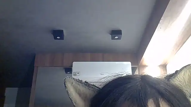 SkinnyKitten webcam