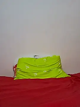 altinya webcam