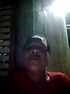 Loomaraj webcam