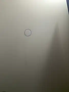 SarahCastro1_ webcam