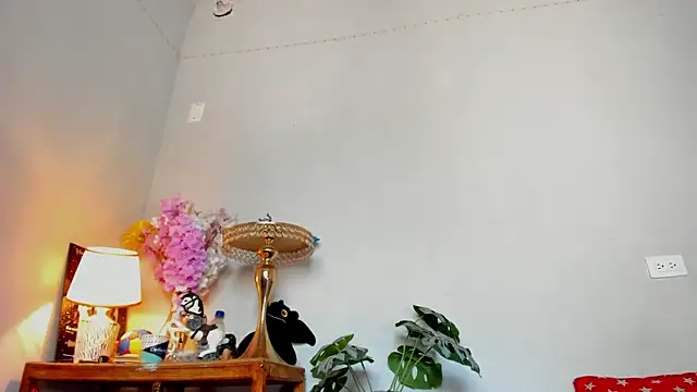 lucian_davii webcam