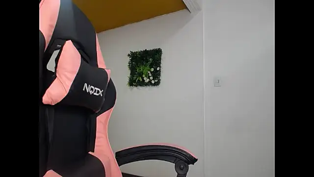 Zalomme webcam