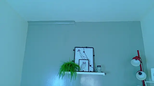 LexaDominant__ webcam