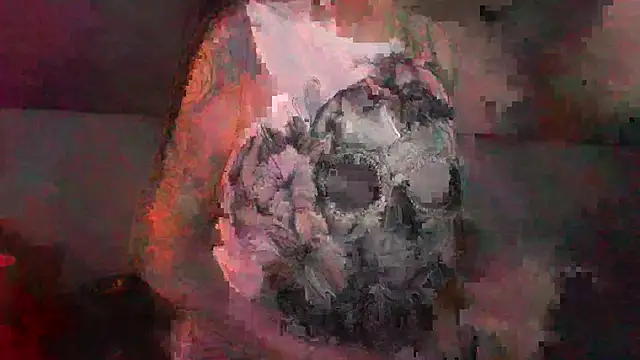 VenusX webcam