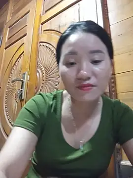 Td3di webcam