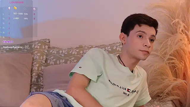 VicenteFerrer webcam