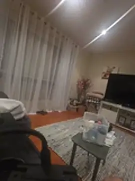 needitinme webcam