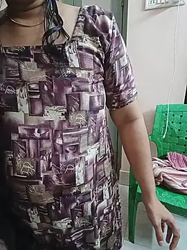 Hansikatelugu webcam