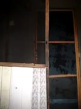 DeDicklord webcam