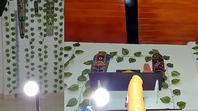 ailany_funny webcam