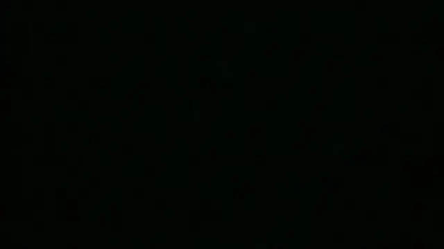 Ladywinter webcam