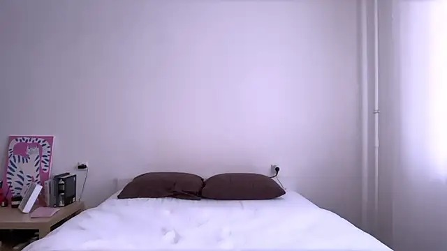 Milky___Way webcam